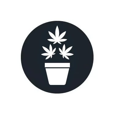Fertilizantes de crecimiento